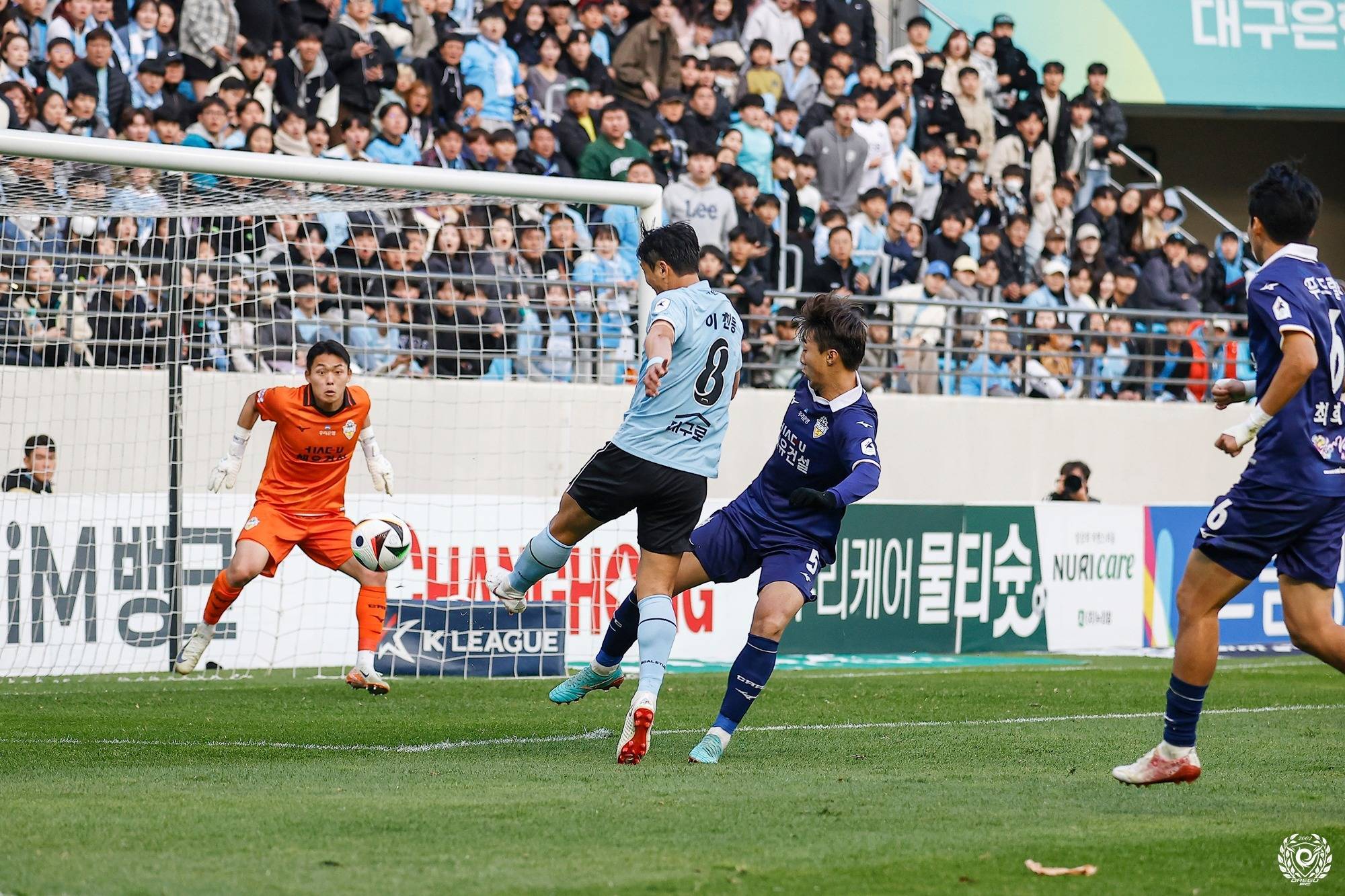 开云-汉堡主帅力争胜利，球队备战如火如荼